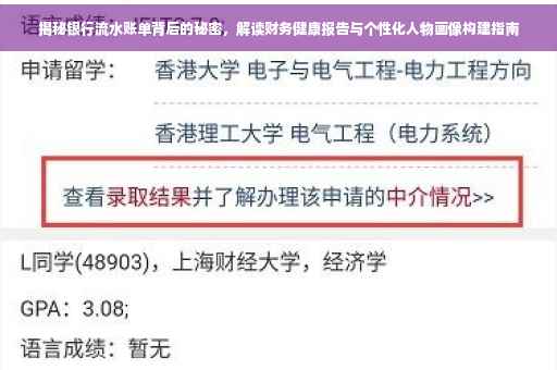 揭秘银行流水账单背后的秘密，解读财务健康报告与个性化人物画像构建指南