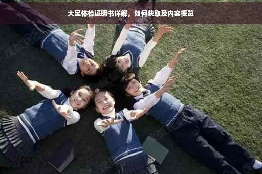 大足体检证明书详解，如何获取及内容概览