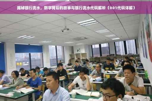 揭秘银行流水，数字背后的故事与银行流水代码解析（001代码详解）