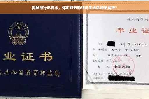 揭秘银行总流水，你的财务脉络与生活轨迹全解析?