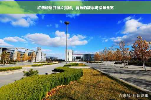 红包证明书图片揭秘，背后的故事与深意全览