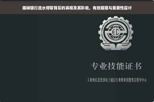 揭秘银行流水停留背后的真相及其影响，有效期限与重要性探讨