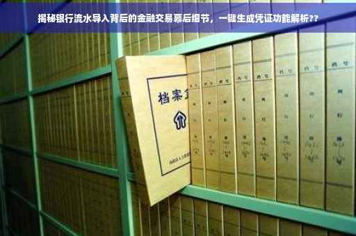 揭秘银行流水导入背后的金融交易幕后细节，一键生成凭证功能解析??
