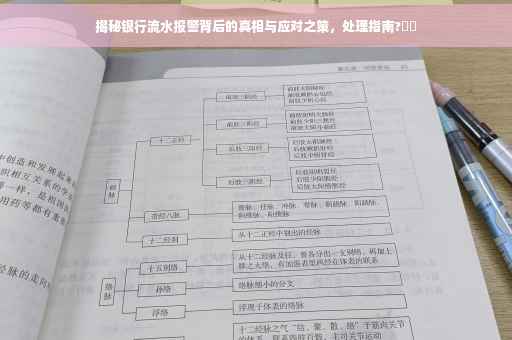 揭秘银行流水报警背后的真相与应对之策，处理指南?⚡️