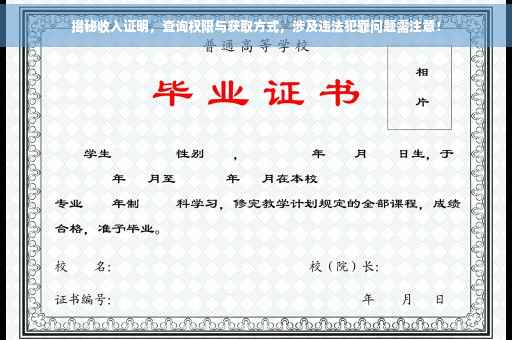 揭秘收入证明，查询权限与获取方式，涉及违法犯罪问题需注意！