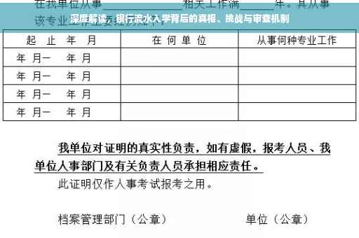 深度解读，银行流水入学背后的真相、挑战与审查机制