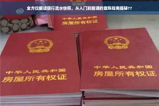 全方位解读银行流水快照，从入门到精通的查账指南揭秘??