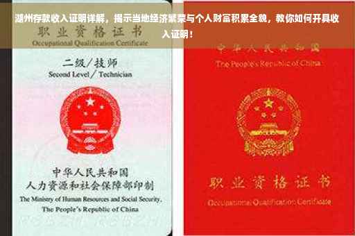 湖州存款收入证明详解，揭示当地经济繁荣与个人财富积累全貌，教你如何开具收入证明！