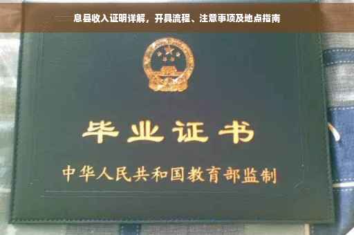 息县收入证明详解，开具流程、注意事项及地点指南