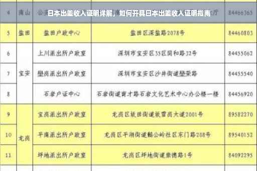 日本出差收入证明详解，如何开具日本出差收入证明指南