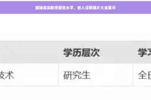 揭秘真实教师薪资水平，收入证明图片大全展示