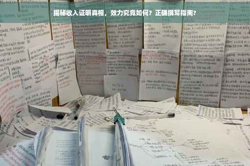 揭秘收入证明真相，效力究竟如何？正确撰写指南?