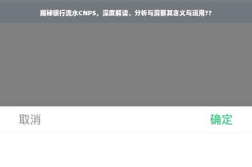 揭秘银行流水CNPS，深度解读、分析与洞察其含义与运用??