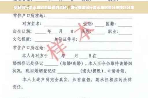 揭秘银行流水与财金管理的奥秘，如何查询银行流水与财金分析技巧分享