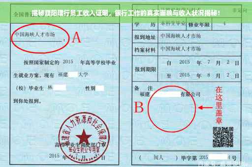 揭秘濮阳建行员工收入证明，银行工作的真实面貌与收入状况揭秘！