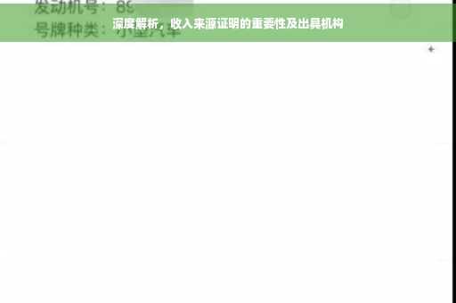 深度解析，收入来源证明的重要性及出具机构
