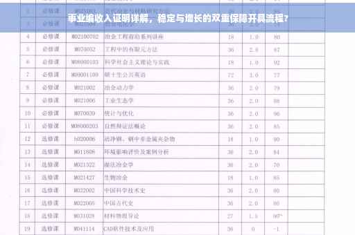 事业编收入证明详解，稳定与增长的双重保障开具流程?