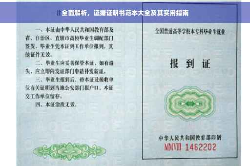 全面解析，证据证明书范本大全及其实用指南