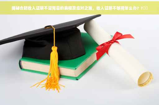 揭秘合肥收入证明不足背后的真相及应对之策，收入证明不够用怎么办？?⚡️