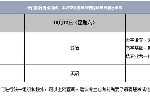 天门银行流水揭秘，金融交易幕后细节探秘当日流水全貌