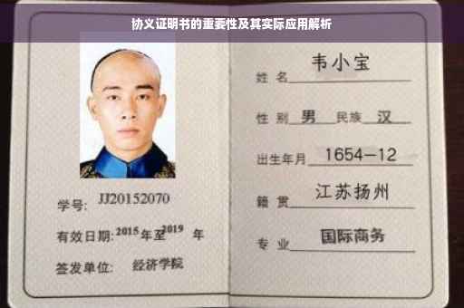 协义证明书的重要性及其实际应用解析