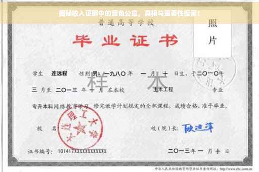 揭秘收入证明中的蓝色公章，真相与重要性探索！