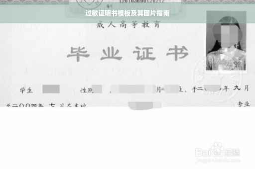过敏证明书模板及其图片指南