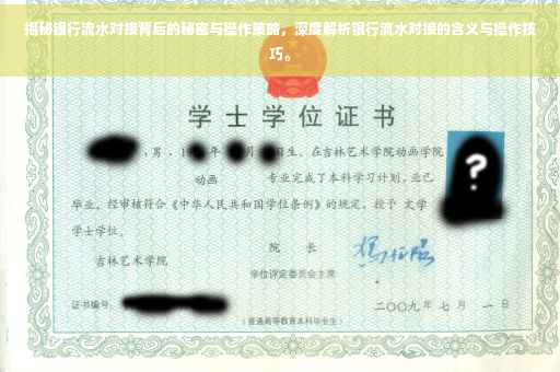 揭秘银行流水对接背后的秘密与操作策略，深度解析银行流水对接的含义与操作技巧。