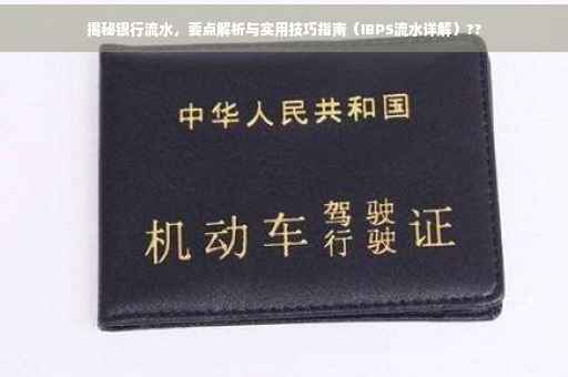 揭秘银行流水，要点解析与实用技巧指南（IBPS流水详解）??