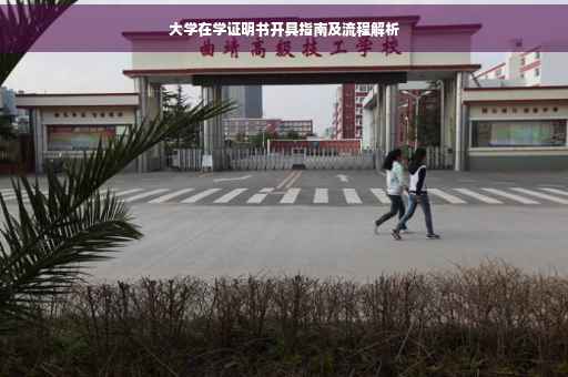 大学在学证明书开具指南及流程解析