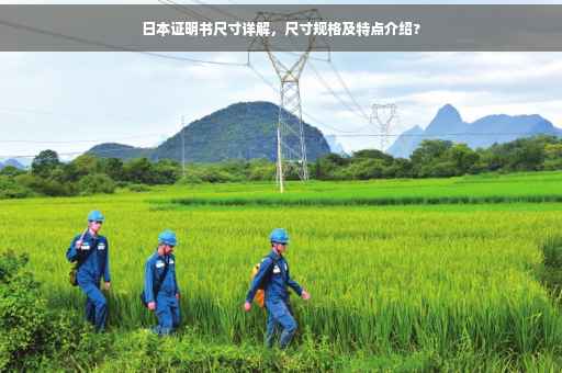 日本证明书尺寸详解，尺寸规格及特点介绍?