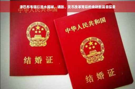 津巴布韦银行流水揭秘，通胀、货币改革背后的金融新篇章探索