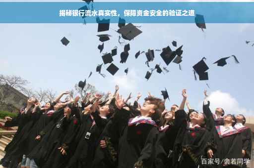 揭秘银行流水真实性，保障资金安全的验证之道