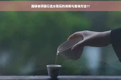 揭秘单项银行流水背后的真相与查询方法??