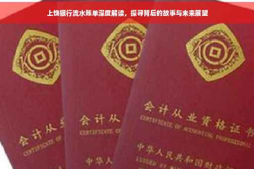 上饶银行流水账单深度解读，探寻背后的故事与未来展望