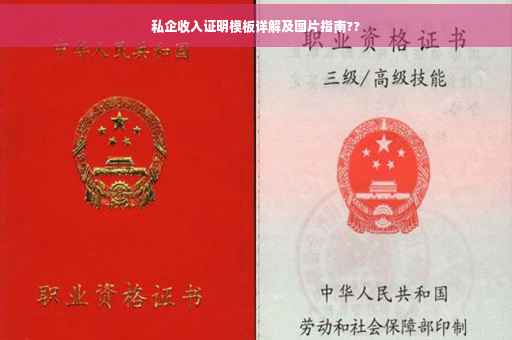 私企收入证明模板详解及图片指南??