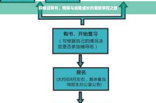 辞婚证明书，婚姻与自我成长的重新审视之旅