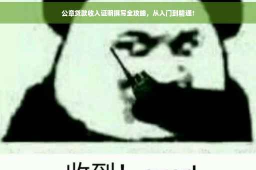 公章贷款收入证明撰写全攻略，从入门到精通！