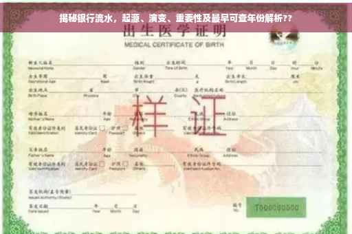 揭秘银行流水，起源、演变、重要性及最早可查年份解析??