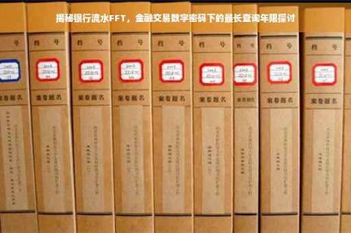 揭秘银行流水FFT，金融交易数字密码下的最长查询年限探讨