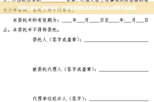 经营公司收入证明详解，打造高效盈利企业指南与收入证明开具流程