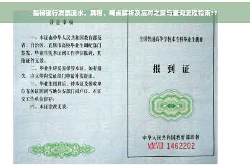 揭秘银行发票流水，真相、疑点解析及应对之策与查询流程指南??