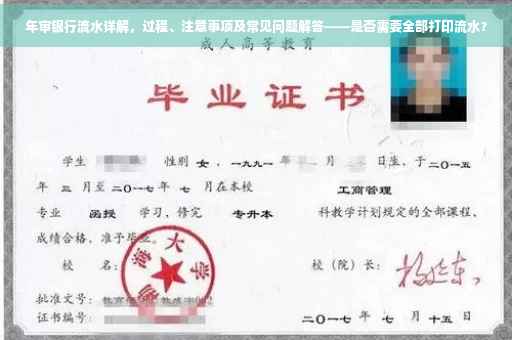 年审银行流水详解，过程、注意事项及常见问题解答——是否需要全部打印流水？