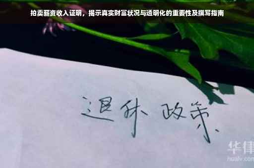 拍卖薪资收入证明，揭示真实财富状况与透明化的重要性及撰写指南