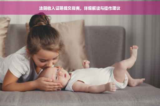 法院收入证明提交指南，详细解读与操作建议