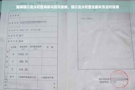 揭秘银行流水犯罪真相与防范策略，银行流水犯罪全解析及应对指南