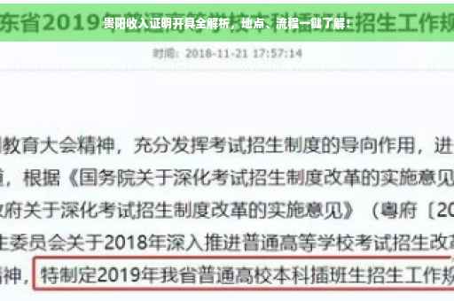贵阳收入证明开具全解析，地点、流程一键了解！