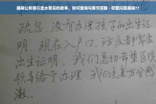揭秘公务银行流水背后的故事，如何查询与细节洞察 - 犯罪问题揭秘??