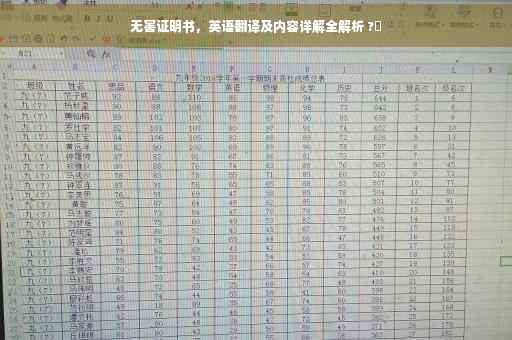 无害证明书，英语翻译及内容详解全解析 ?✨