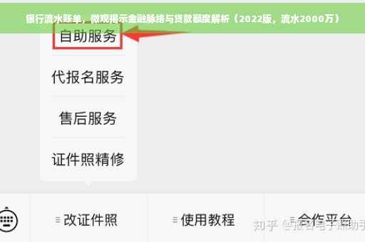 银行流水账单，微观揭示金融脉络与贷款额度解析（2022版，流水2000万）
